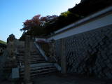 備後 堂崎山城の写真