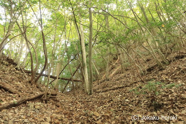 備後 麓山城の写真