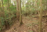 備後 麓山城の写真