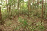 備後 麓山城の写真
