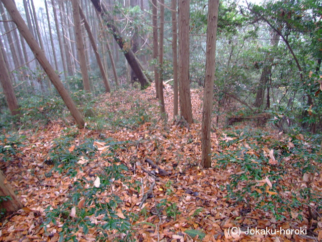 備後 ニツ山城の写真