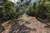 備後 山手銀山城の写真