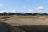 備後 羽倉城の写真