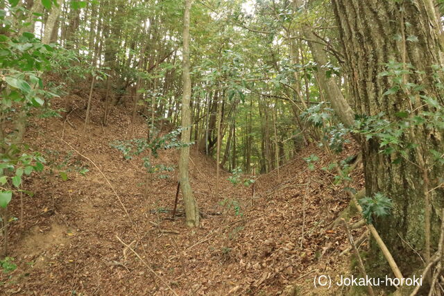 備後 小童山根城の写真