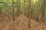 備後 小童山根城の写真