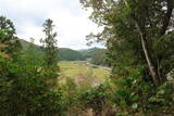 備後 小童山根城の写真