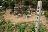 備後 小童山根城の写真