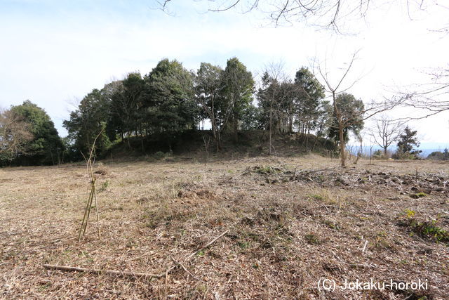 備後 比叡尾山城の写真