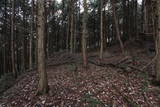 備後 比熊山城の写真