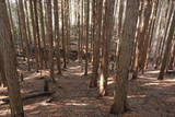 備後 比熊山城の写真