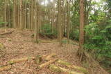 備後 平松山城の写真