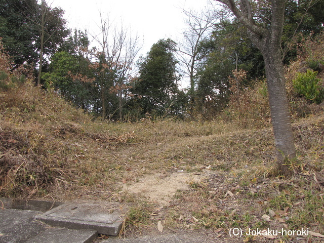 備後 法光寺山城の写真