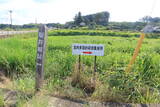 備後 堀井城の写真