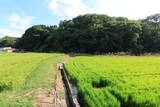 備後 堀井城の写真