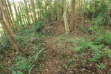 備後 堀井城の写真
