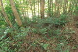 備後 堀井城の写真