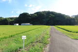 備後 堀井城の写真