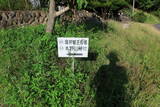 備後 堀井城の写真