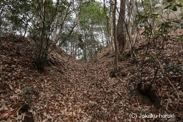 備後 一乗山城の写真