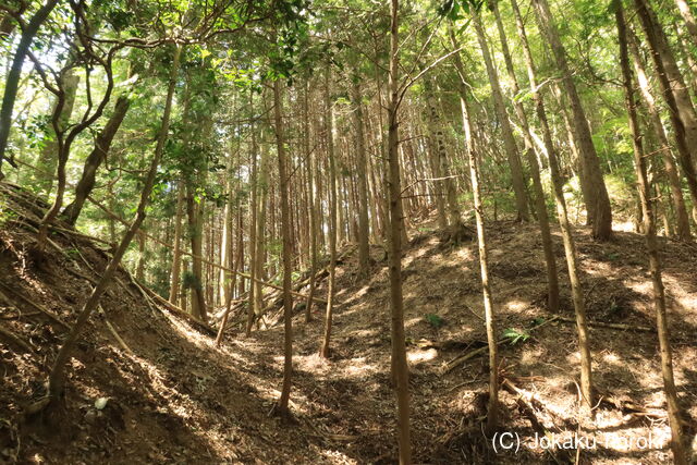 備後 井原城の写真