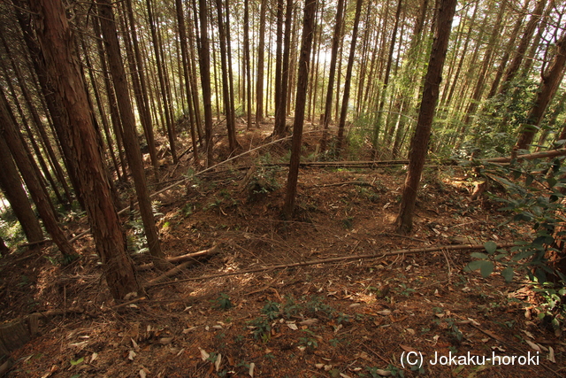 備後 上田城(御調町)の写真