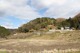 備後 上田城(御調町)の写真