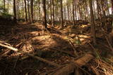 備後 上田城(御調町)の写真