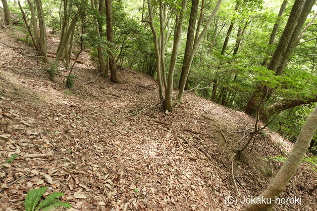 備後 今高野山城の写真