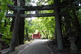備後 今高野山城の写真