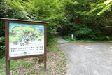 備後 今高野山城の写真
