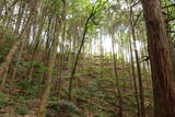 備後 今高野山城の写真