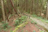 備後 今高野山城の写真