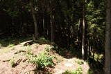 備後 今高野山城の写真