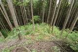 備後 今高野山城の写真