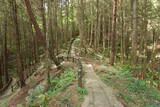 備後 今高野山城の写真