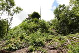 備後 今高野山城の写真