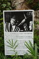 備後 今高野山城の写真