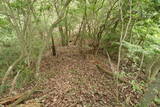 備後 今高野山城の写真