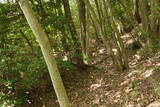 備後 今高野山城の写真