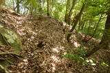 備後 今高野山城の写真