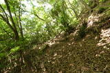 備後 今高野山城の写真
