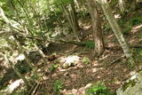 備後 今高野山城の写真