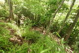 備後 今高野山城の写真