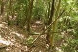 備後 今高野山城の写真