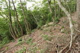 備後 今高野山城の写真