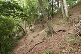 備後 今高野山城の写真