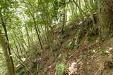 備後 今高野山城の写真