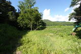 備後 尾首城(甲山町)の写真