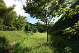 備後 尾首城(甲山町)の写真