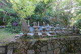 備後 尾首城(甲山町)の写真